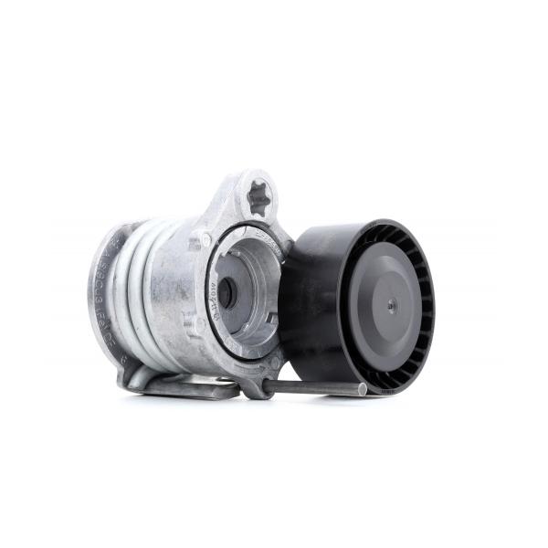 BMW 3 Serisi Alternatör Kayış Gergi Rulmanı - E90 2005-2012
