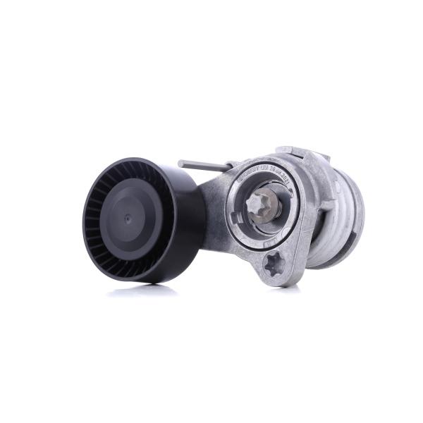 BMW 5 Serisi V Kayış Gergi Bilyası - E60 2004-2010
