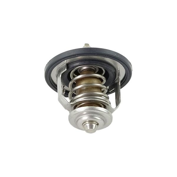Hyundai Santa Fe Termostat - 2001-2006