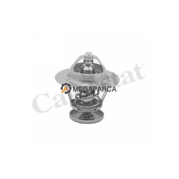 Jaguar X Type Termostat