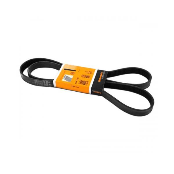 Nissan Pulsar Alternatör Kayışı