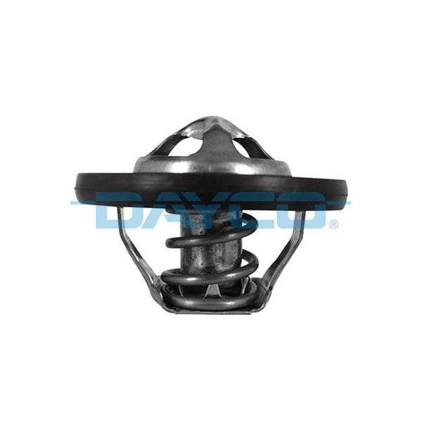 Nissan Qashqai Termostat - 2007-2013