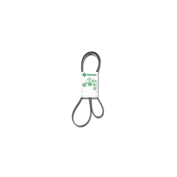 Subaru Forester V Kayışı - 2013 Sonrası