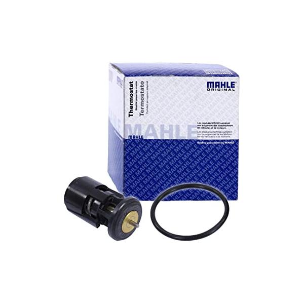 Volkswagen Bora Termostat